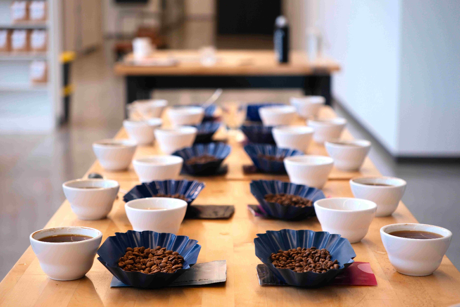 Professional coffee cupping setup with various premium coffee beans arranged for cold brew testing and evaluation