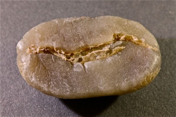 Close-up macro shot of premium coffee beans showing surface oils and texture details for cold brew brewing