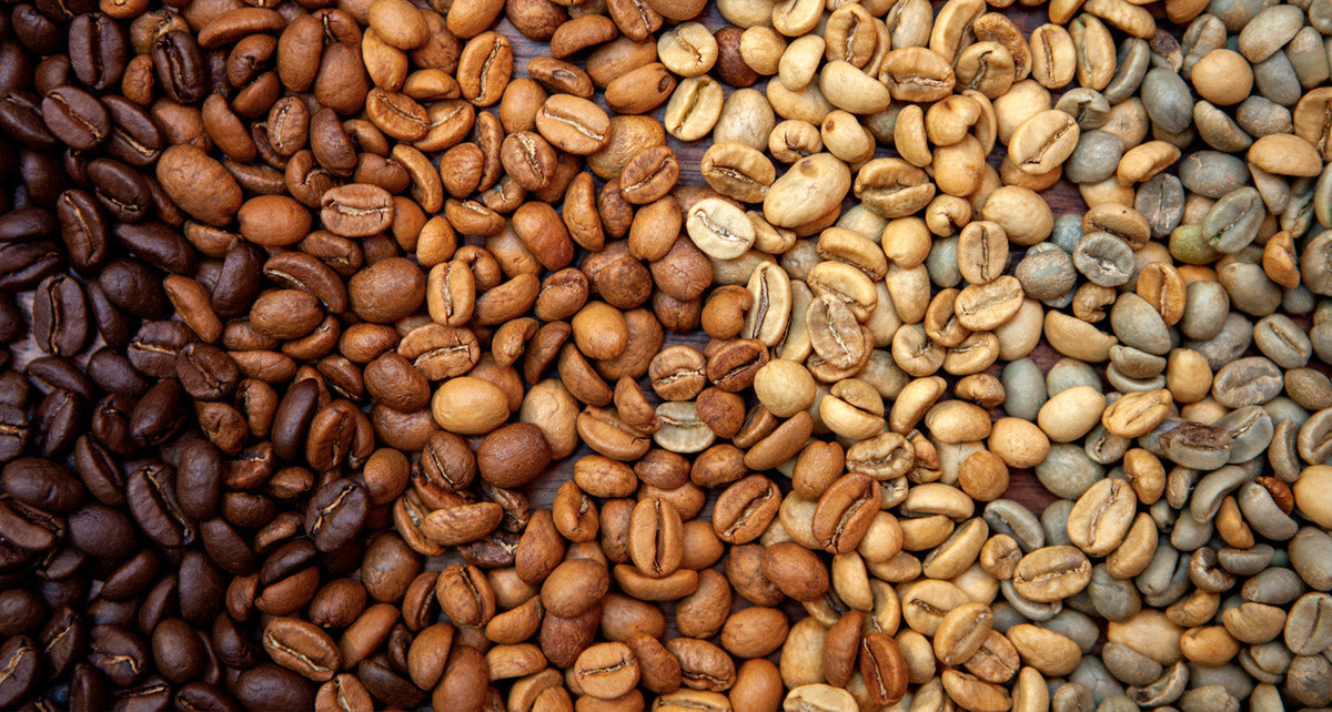 Visual guide showing different coffee bean roast levels from light to dark for cold brew brewing comparison