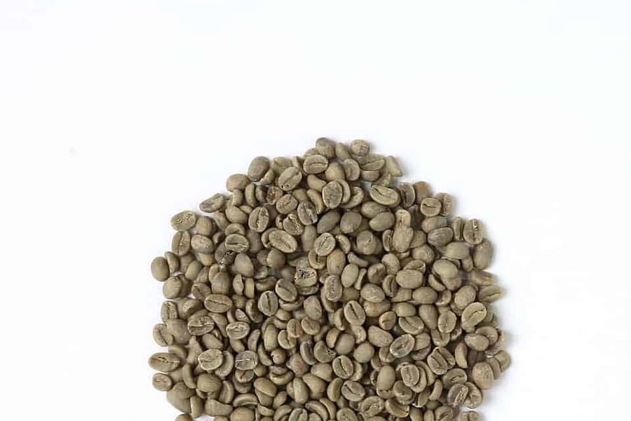 Brazilian Santos coffee beans