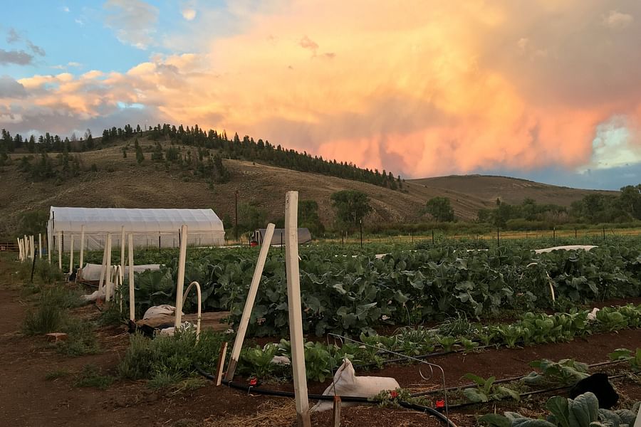 Coffee Farm Water Conservation
