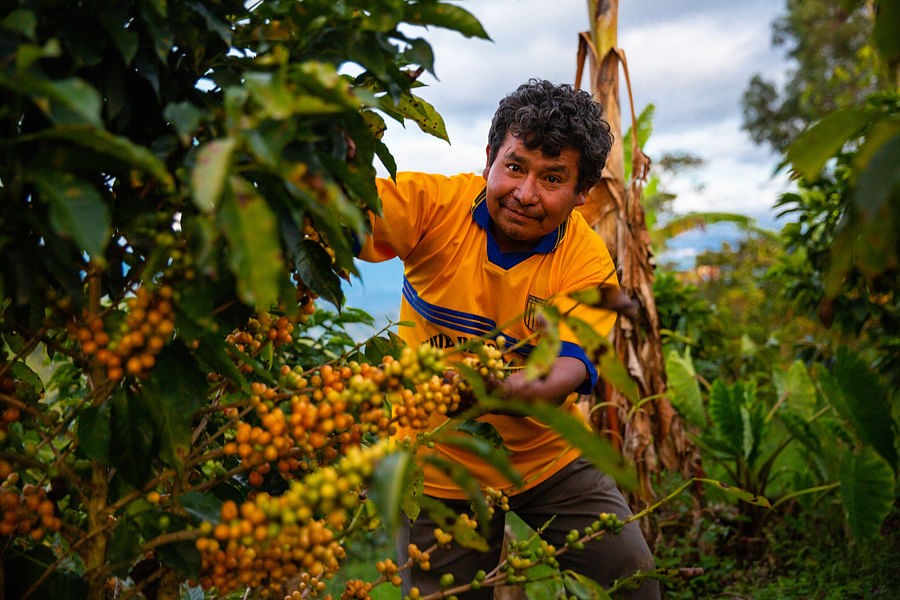 Community Support Coffee Farm