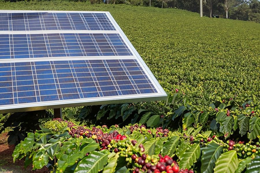 Renewable Energy in Coffee Farming