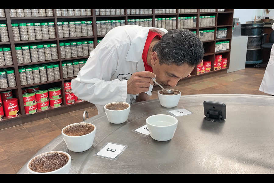 coffee tasting for quality control