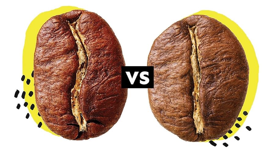 Variety of coffee beans showcasing different colors, sizes, and shapes